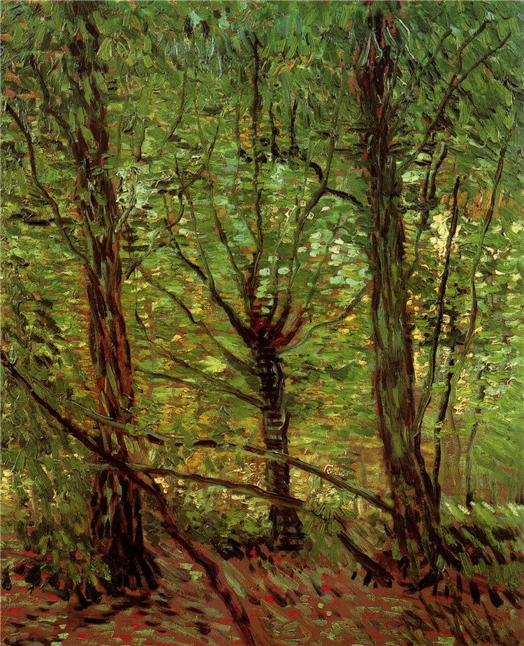 Trees And Undergrowth Van Gogh Oil Painting